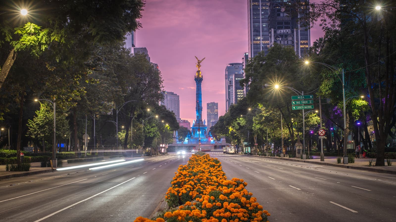 Paseo de la Reforma at dusk, looking towards the Angel of Independence, with marigolds along the median